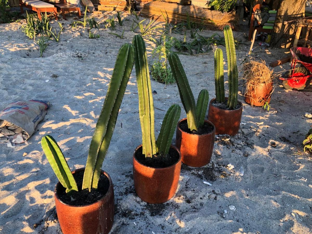 Hotel La Boheme Gili Air Zewnętrze zdjęcie